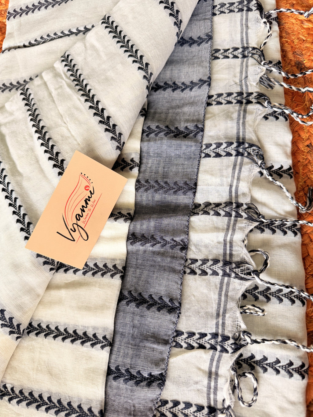 Vyanmi Cloudline Handloom Saree
