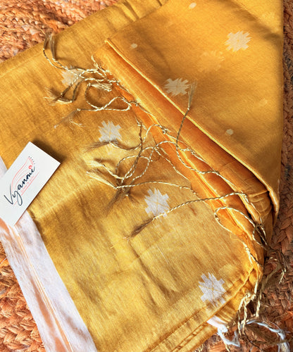 Vyanmi Haldi Haze Tissue Saree